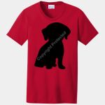 Ladies Core Blend Tee Thumbnail