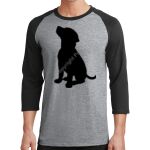 Core Blend 3/4 Sleeve Raglan Tee Thumbnail