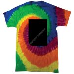 Adult 5.4 oz., 100% Cotton T-Shirt Thumbnail