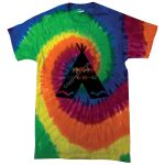 Adult 5.4 oz., 100% Cotton T-Shirt Thumbnail