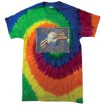 Adult 5.4 oz., 100% Cotton T-Shirt Thumbnail