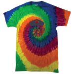 Adult 5.4 oz., 100% Cotton T-Shirt Thumbnail