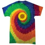 Adult 5.4 oz., 100% Cotton T-Shirt Thumbnail